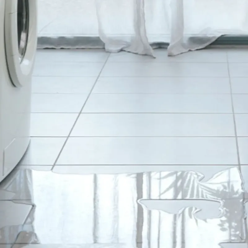 Appliance Leak Cleanup in Overland, MO