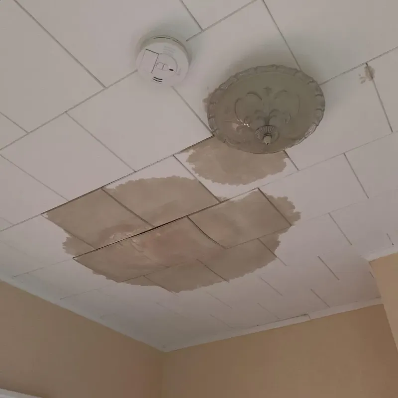 Ceiling Water Damage Repair in Overland, MO
