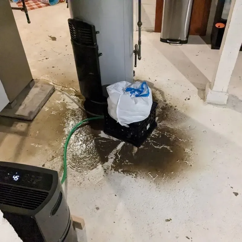 Sewage Backup Cleanup Service in Overland, MO